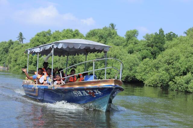 Mangrove Forest Boating