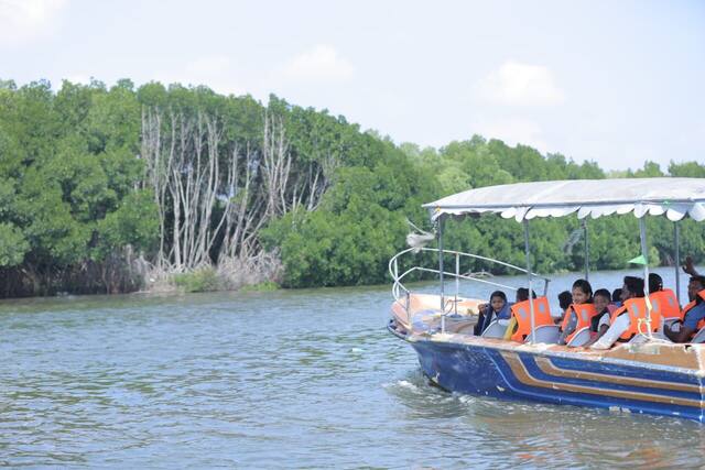 Mangrove Forest Boating in Pondicherry, photo 2