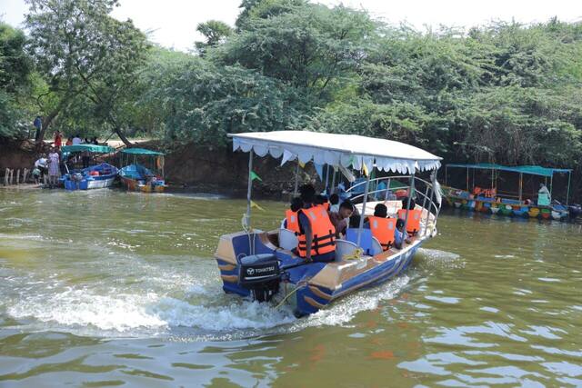 Mangrove Forest Boating in Pondicherry, photo 5
