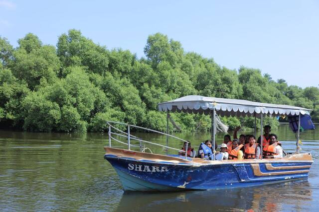 Mangrove Forest Boating in Pondicherry, photo 8