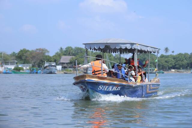 Mangrove Forest Boating in Pondicherry, photo 9