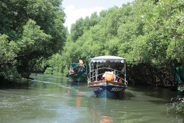 Mangrove Forest Boating in Pondicherry, photo 10
