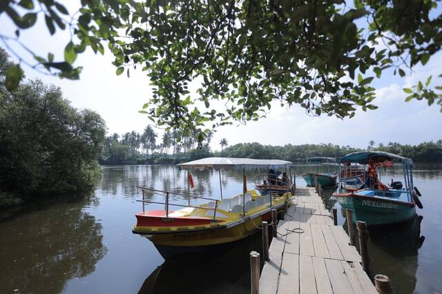 Mangrove Forest Boating in Pondicherry, photo 11