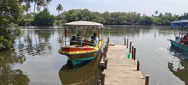 Mangrove Forest Boating in Pondicherry, photo 12
