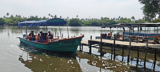 Mangrove Forest Boating in Pondicherry, photo 13
