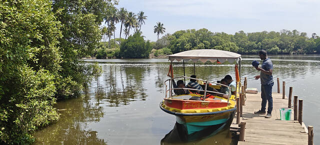 Mangrove Forest Boating in Pondicherry, photo 14
