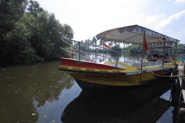Mangrove Forest Boating in Pondicherry, photo 15