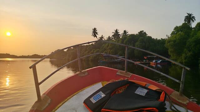 Mangrove Forest Boating in Pondicherry, photo 16