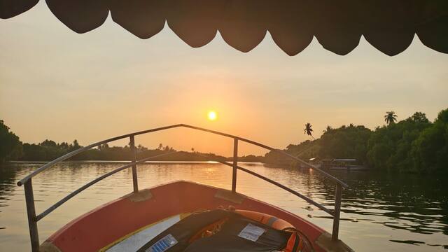 Mangrove Forest Boating in Pondicherry, photo 13