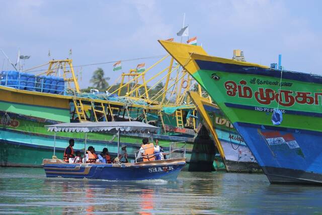 Mangrove Forest Boating in Pondicherry, photo 18