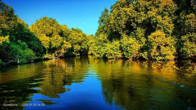 Mangrove Forest Boating in Pondicherry, photo 19