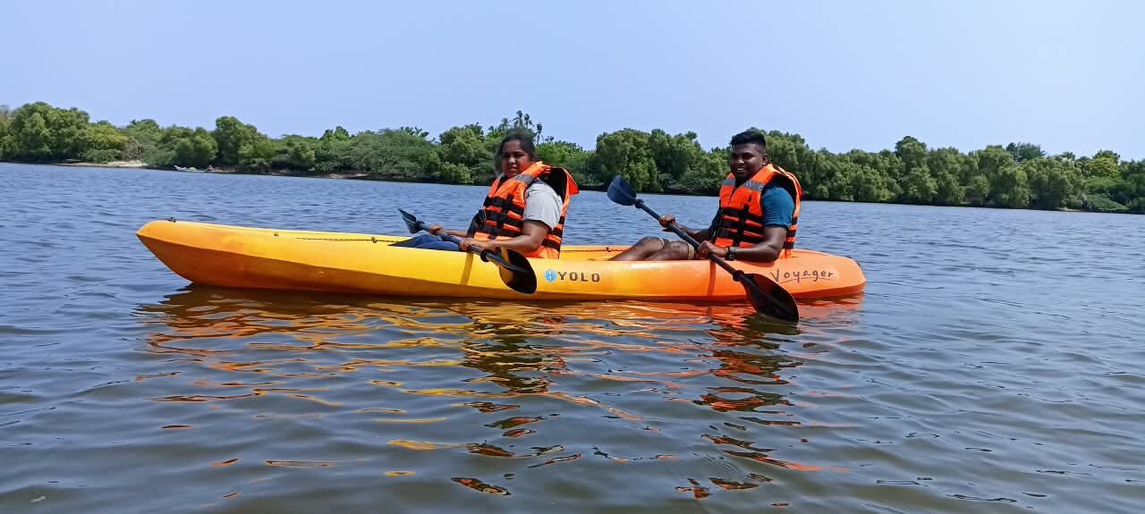 Mangrove Kayaking in Pondicherry