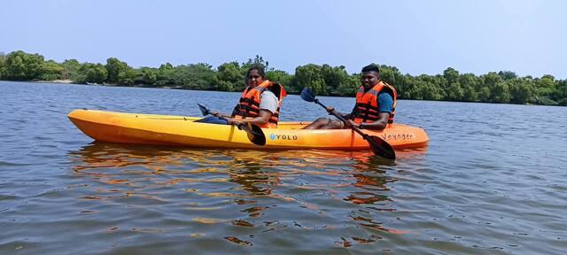 Mangrove Kayaking