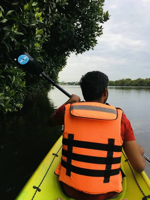 Mangrove Kayaking in Pondicherry, photo 8