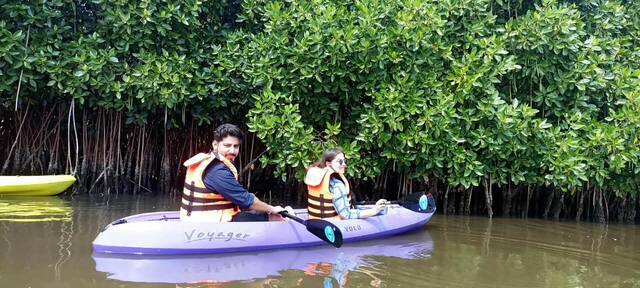 Mangrove Kayaking in Pondicherry, photo 4