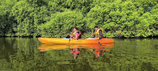 Mangrove Kayaking in Pondicherry, photo 6