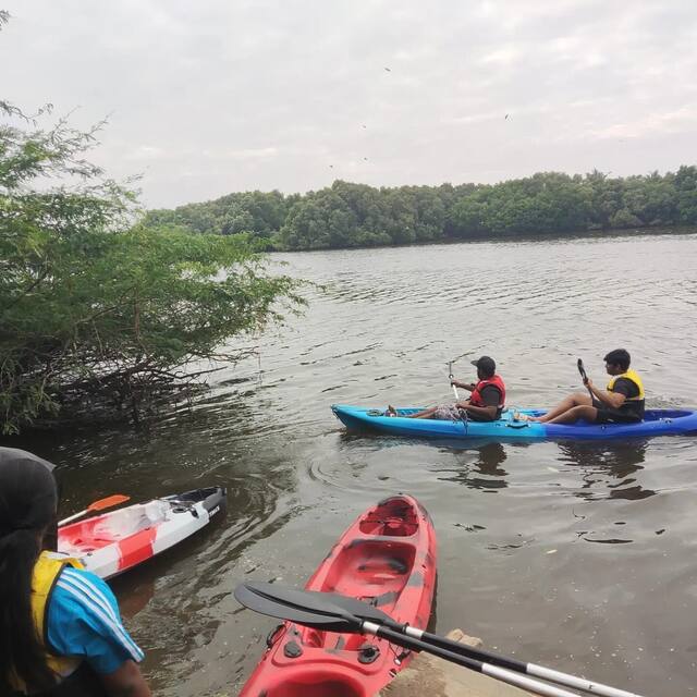 Mangrove Kayaking in Pondicherry, photo 9