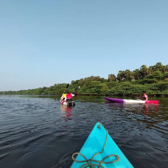 Mangrove Kayaking in Pondicherry, photo 10