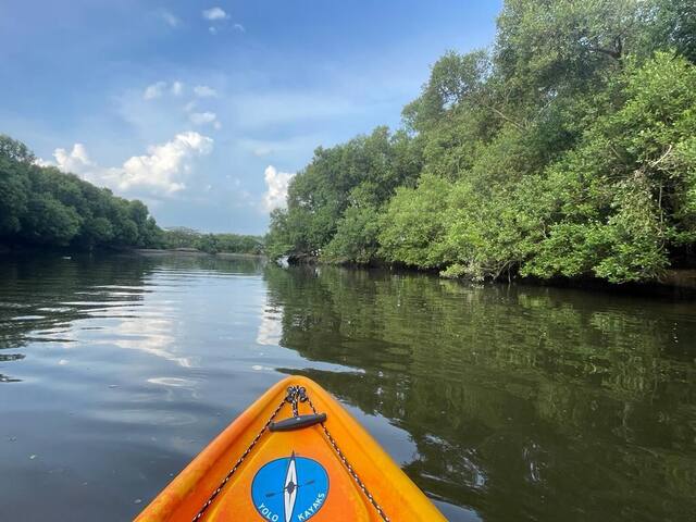 Mangrove Kayaking in Pondicherry, photo 15