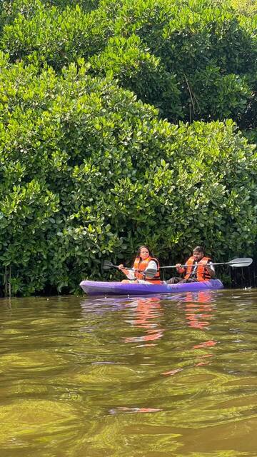 Mangrove Kayaking in Pondicherry, photo 16