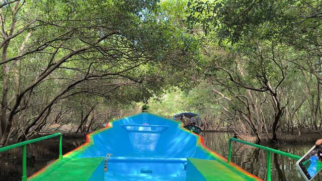 Mangrove Kayaking in Pondicherry, photo 18