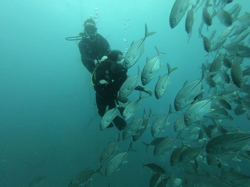 Scuba Diving in Pondicherry